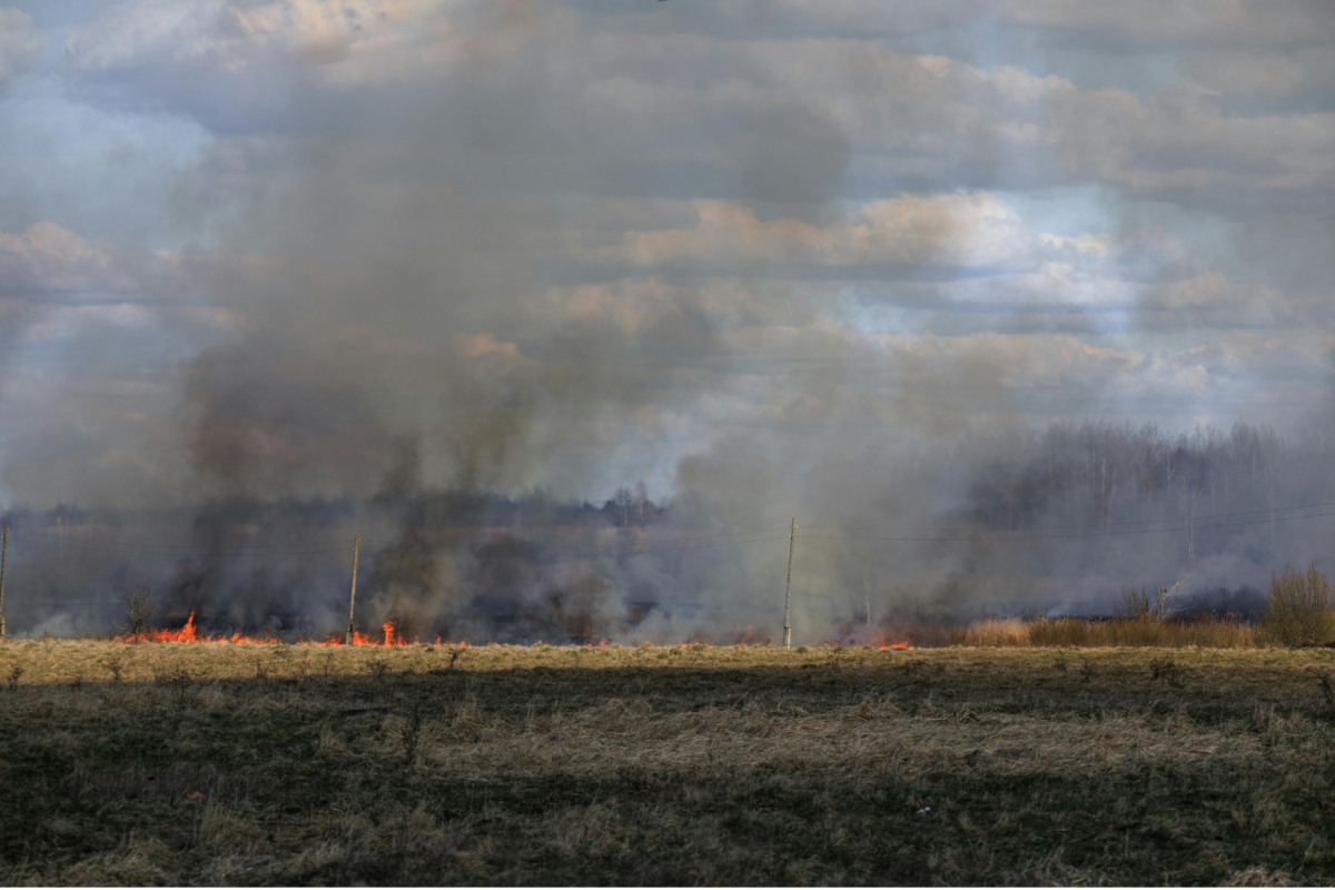 Controlled burns and wildfires can have a significant impact on indoor air quality.